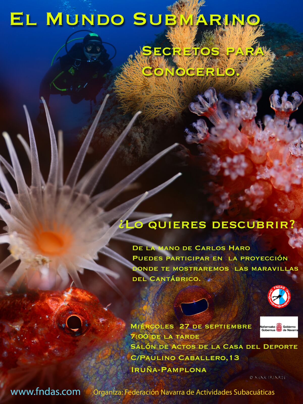 Proyecci&oacute;n &quot;El mundo submarino. Secretos para conocerlo&quot; (27 de septiembre)